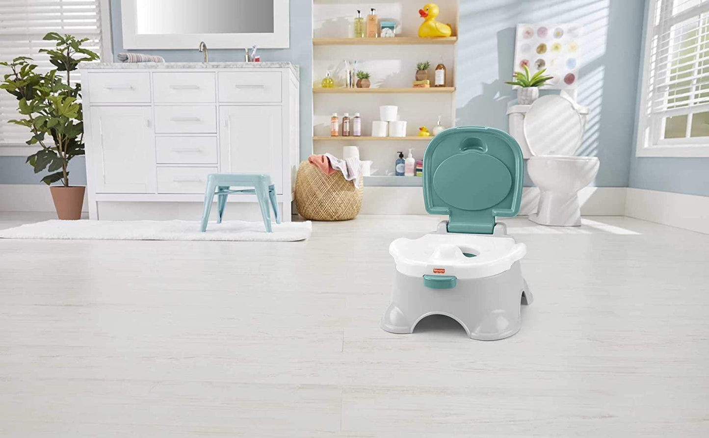 3-in-1 Potty Seat
